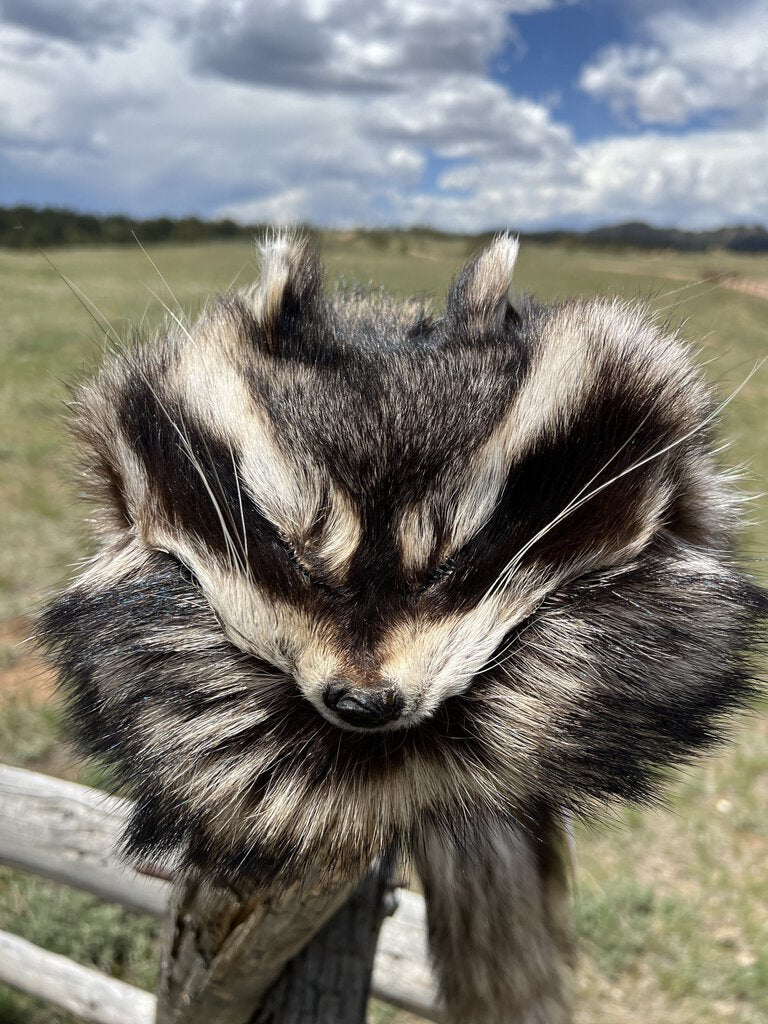 Raccoon hat with face online